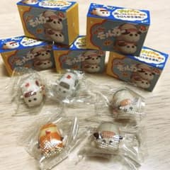 モルカー　プイプイモルカー　ぷっちょ消しゴムフィギュア　第2弾コンプリート５種類のサムネイル