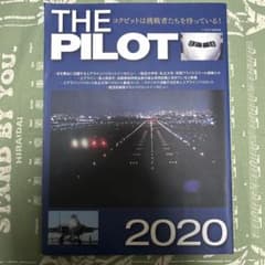 ザ・パイロット 2020のサムネイル