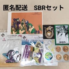 조조의 기묘한 모험 SBR 스틸 볼런 정리 판매