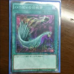 ハーピィの羽根箒のサムネイル