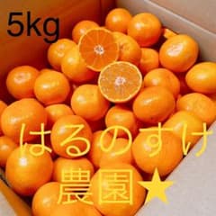 ★【T♡MMY 】【秀優混合】有田みかん 早生 10kg 小玉ちゃんのみ♡ みかん 小玉 10kg 早生みかん 秀品 優品 混合 和歌山県産 産地直送