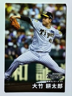 m65346827705_1.jpg?1746329208