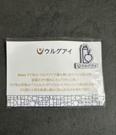 大阪　関西万博　ウルグアイ　マグネットピン 大阪 関西 万博 ウルグアイ マグネットピン - メルカリ