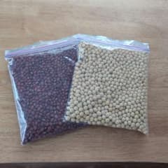 青森産　小豆、大豆セット　各500グラムのサムネイル