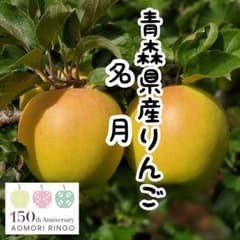 青森県産りんご★名月★減農薬栽培のサムネイル
