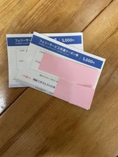 フェリーさんふらわあ　商船三井　株主優待券　フェリー共通クーポン　5000円2枚のサムネイル