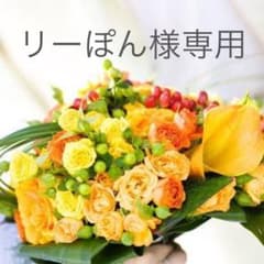 リーぽん様専用のサムネイル
