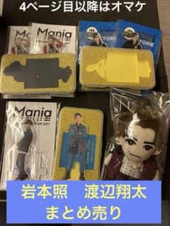 岩本照 渡辺翔太 オマケ付き アクスタ ぬいぐるみ 公式写真まとめ売り