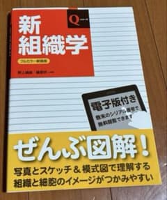 新組織学 Qシリーズ 日本医事新報社のサムネイル