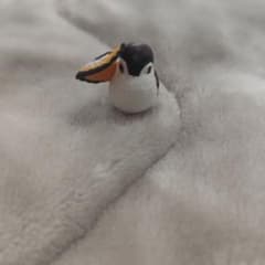 野鳥 フィギュア ミニチュア マスコットのサムネイル