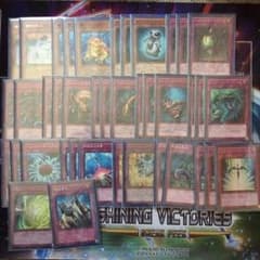 遊戯王 カエルバージェストマ デッキのサムネイル
