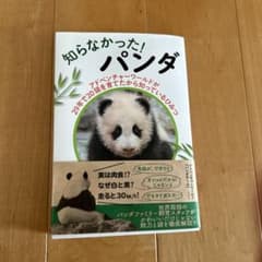 知らなかった!パンダ : アドベンチャーワールドが29年で20頭を育てたから知…のサムネイル
