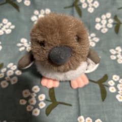 赤ちゃんペンギンぬいぐるみ すみだ水族館限定のサムネイル