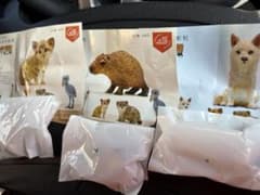 『はしもとみおの彫刻』那須カプセルトイ スナネコ　ホッキョクオオカミ　カピバラのサムネイル