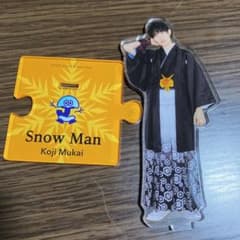 向井康二 アクスタのサムネイル