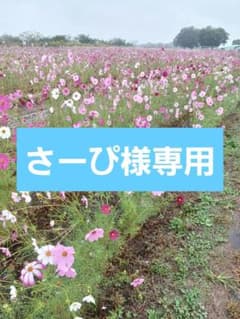 さーぴ様専用のサムネイル