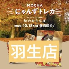猫カフェmocha にゃんずトレカ 秋のおさんぽ 羽生店 - メルカリ