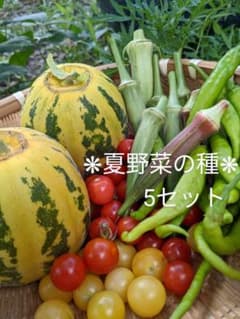 ✽ 바다 하늘 님 ✽ 가정 채소밭 용 씨앗 ✽ 여름 야채 씨앗 세트