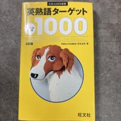 英熟語ターゲット1000 : 大学入試出る順のサムネイル
