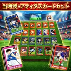 【2002年当時物】サッカー日韓ワールドカップ アディダスカード 25枚セット！ 2002年当時物】サッカー日韓ワールドカップ アディダスカード 25枚