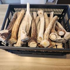 鹿の角 (特大～大サイズ)犬用おもちゃ ランダム 2kg およそ4本～8本