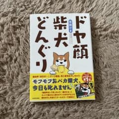 ドヤ顔柴犬どんぐりのサムネイル