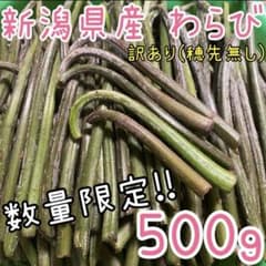 ✨数量限定✨新潟県産 天然 わらび 訳あり品(穂先無し)500g ネコポス発送㉘のサムネイル