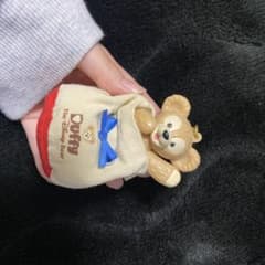 可愛い可愛いダッフィー❕のサムネイル