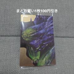몬스터 헌터 몬한 웨이퍼 카드 브라키디오스