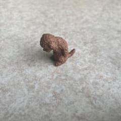 トイプードルガチャガチャのサムネイル