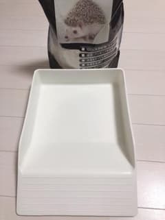 ハリネズミ トイレのサムネイル