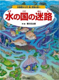 水の国の迷路 香川元太郎 絵本のサムネイル