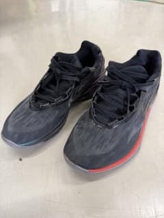 Nike Air Zoom Freak 1 バスケット　GTカット2のサムネイル