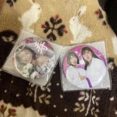 た*ん様 平成フラミンゴ ミラー 助け展 た*ん様 平成フラミンゴ ミラー 助け展 - メルカリ