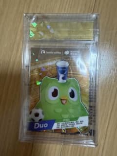 【新品】 Luckin Coffee × Duolingo コラボカードのサムネイル