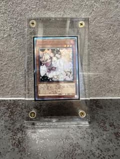 遊戯王OCG 灰流うらら20th & ブルーアイズオルタナティブホワイト