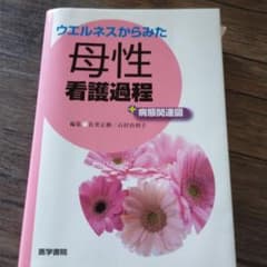 看護学生★助産学生★ウエルネスからみた母性看護過程のサムネイル