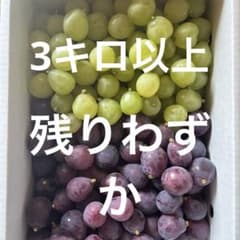 岡山県産 ピオーネ&瀬戸ジャイアンツ　家庭用のサムネイル