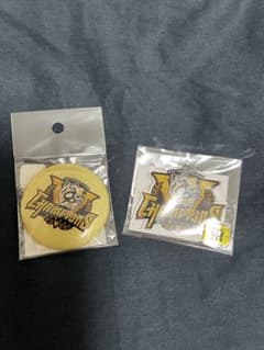 阪神タイガース 2025 優勝記念 缶バッジ アクリルキーホルダー　２個セットのサムネイル