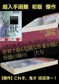 世界で最も危険な作家 鬼才 田沼淳一 　　　希少【初版】 傑作 ◯獣シリーズ１ 世界で最も◯◯な作家 鬼才 田沼淳一 希少【初版】 傑作 ◯獣シリーズ