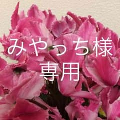 みやっち様専用 夏用 学生服 ズボンのサムネイル