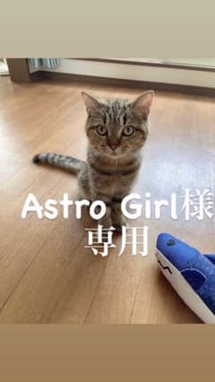 HYSTERICGLAMOR Tシャツワンピース ワンピースのサムネイル