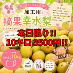 本日限り‼️たっぷり10kg 福島県産摘果幸水梨 加工用 お菓子・ジャム作りなどのサムネイル