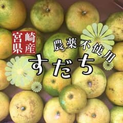 宮崎県産　すだち　1.2kg以上ぎゅうぎゅうで送ります。のサムネイル