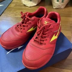 ミズノ安全靴26.5のサムネイル