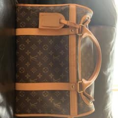 ❤️ milk様　専用❤️LOUIS VUITTON  ペットキャリー　40のサムネイル