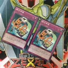 【2枚セット】融合準備(フュージョン・リザーブ)のサムネイル