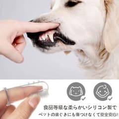 犬用　シリコン歯ブラシのサムネイル