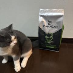 カナガン　チキン　キャットフード　1.5キロのサムネイル