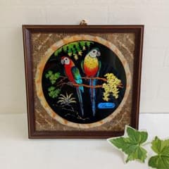 S4:希少❗️ブラジル産 モルフォ蝶の羽アート オウム 壁掛け